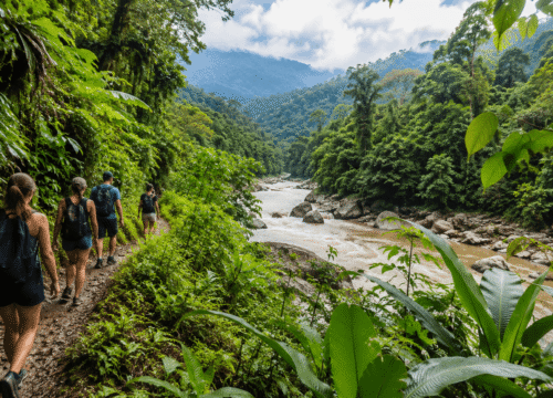 Selva desde Baños