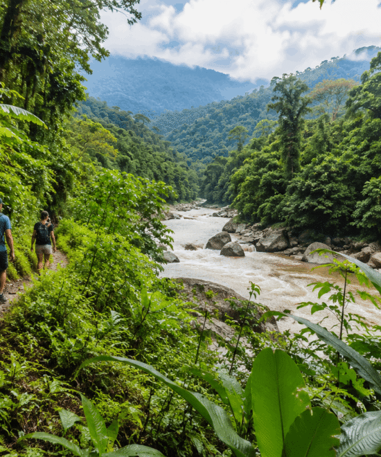 Selva desde Baños